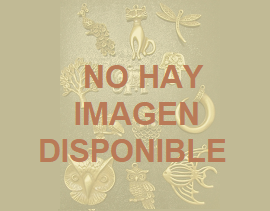 No hay imagen disponible